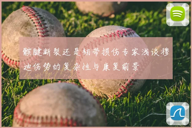 髌腱断裂还是韧带损伤专家浅谈穆迪伤势的复杂性与康复前景